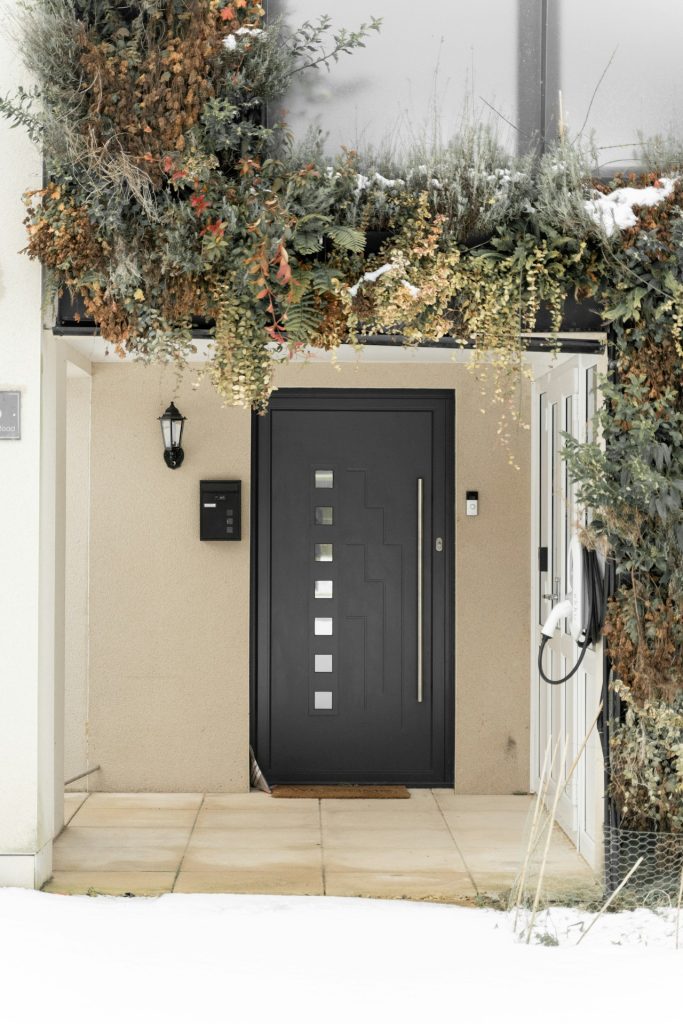 black wooden door near green plant